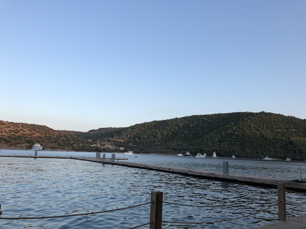 Villa Maçakızı